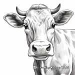 Brown Swiss Cow Face Coloring Pages 1
