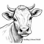 Brown Swiss Cow Face Coloring Pages 2