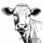 Brown Swiss Cow Face Coloring Pages 3