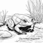 Bull Frog Coloring Pages for Nature Lovers 4