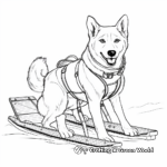 Canadian Inuit Sled Dog Coloring Pages 3