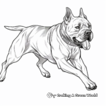 Cane Corso in Action Coloring Pages 3