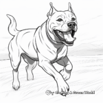Cane Corso in Action Coloring Pages 4