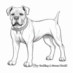 Cane Corso With Accessories Coloring Pages 4