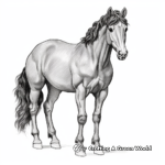 Captivating Friesian Horse Coloring Pages 3