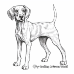 Celebration and Holiday German Shorthaired Pointer Coloring Pages 2
