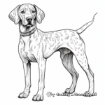 Celebration and Holiday German Shorthaired Pointer Coloring Pages 3