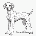 Celebration and Holiday German Shorthaired Pointer Coloring Pages 4