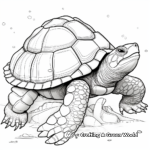 Challenging Detailed Snapping Turtle Anatomy Coloring Pages 4