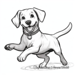 Charming Black Lab with Frisbee Coloring Pages 3