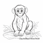 Charming Chimpanzee Coloring Pages 1