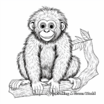 Charming Chimpanzee Coloring Pages 4