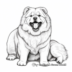 Charming Chow Chow Dog Coloring Pages 1