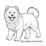 Charming Chow Chow Dog Coloring Pages 3