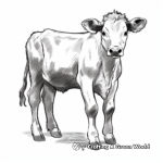 Charming Farm Cow Coloring Pages 4