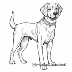 Charming Foxhound Coloring Pages 4