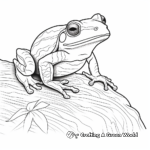 Charming Red Eyed Tree Frog Coloring Sheets 4