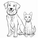 Charming Siamese Cat and Golden Retriever Coloring Pages 1