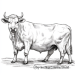 Charolais Cow in Pasture Coloring Pages for Relaxation 1