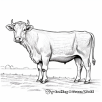 Charolais Cow in Pasture Coloring Pages for Relaxation 2