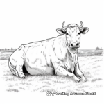 Charolais Cow in Pasture Coloring Pages for Relaxation 3