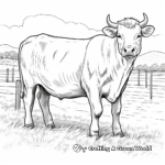 Charolais Cow in Pasture Coloring Pages for Relaxation 4