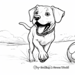 Chocolate Lab in Action: Fetch-Scene Coloring Pages 4