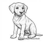 Chocolate Lab Sporting Dog Coloring Sheets 1