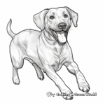 Chocolate Lab Sporting Dog Coloring Sheets 2