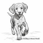 Chocolate Lab Sporting Dog Coloring Sheets 3