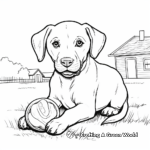 Chocolate Lab with a Frisbee Coloring Page 1