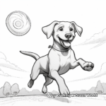 Chocolate Lab with a Frisbee Coloring Page 3