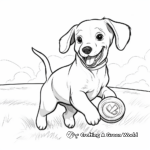 Chocolate Lab with a Frisbee Coloring Page 4