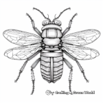 Cicada Anatomy Coloring Sheets 1