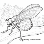 Cicada in Nature Habitat Coloring Pages 4