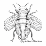 Cicada Shell Molt Coloring Pages 1