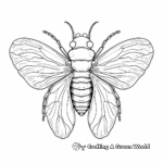 Cicada Shell Molt Coloring Pages 2