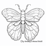 Cicada Shell Molt Coloring Pages 3