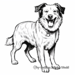 Classic Black and White Border Collie Coloring Pages 1