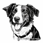 Classic Black and White Border Collie Coloring Pages 2