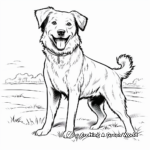 Classic Black and White Border Collie Coloring Pages 3