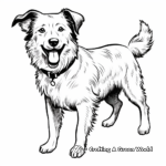 Classic Black and White Border Collie Coloring Pages 4