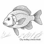 Classic Bluegill Diagram Coloring Pages 3