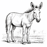 Classic Donkey Coloring Pages 3