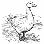 Classic Farm Duck Coloring Pages for Kids 2