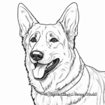 Classic German Shepherd Adult Coloring Pages 3