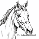 Classic Thoroughbred Horse Head Coloring Pages 1