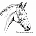 Classic Thoroughbred Horse Head Coloring Pages 2