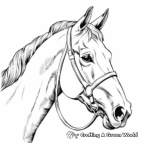 Classic Thoroughbred Horse Head Coloring Pages 3