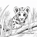 Clouded Leopard Habitat: Jungle Scene Coloring Pages 2